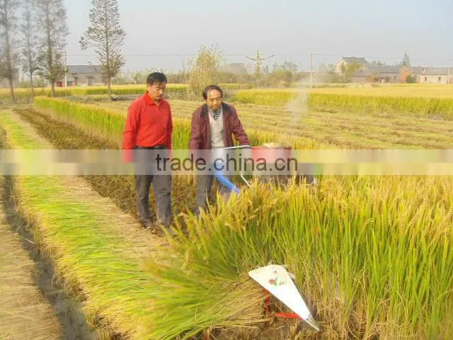 Self-propelled walking behind wheat harvest machine in Harvesters