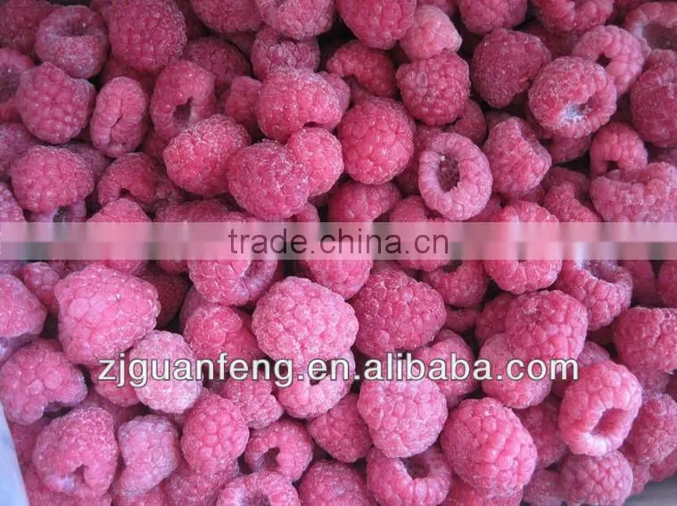 Wholesale China Trade Shrimp Spiral Freezer food preservation equipment