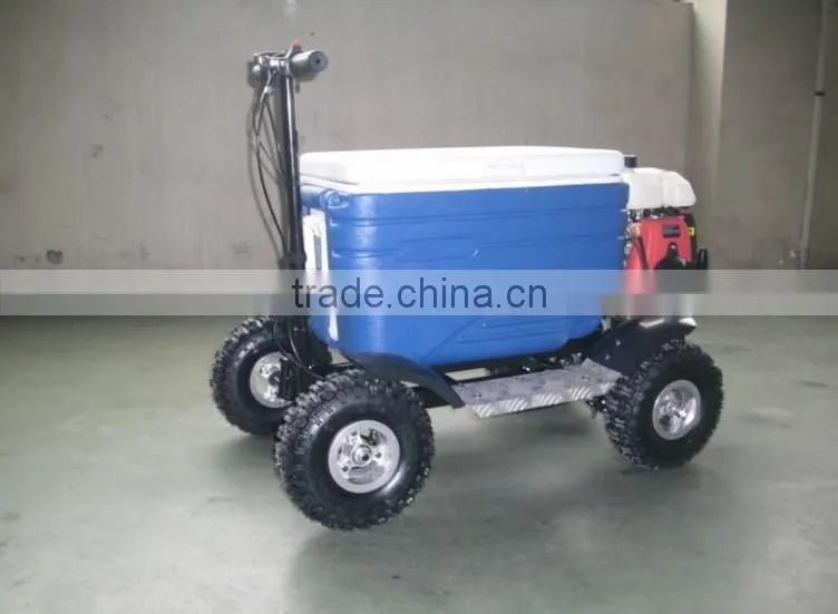 43cc EPA approved gasoline refrigerator scooter/cooler box scooter for adult (TKS-S43)