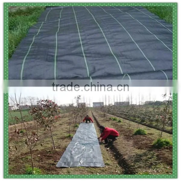 black weed barrier fabric matting/anti grass woven mat plastic golf weed control ground cover