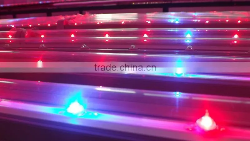 Best seller 10W led grow light tube T8 Bridgelux chip for bamboo seedlings
