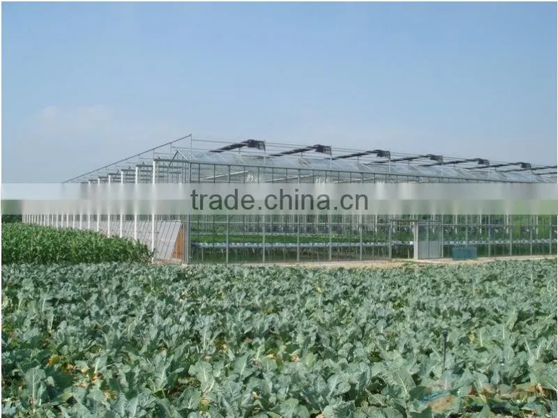 hot sale glass greenhouse shade green house design