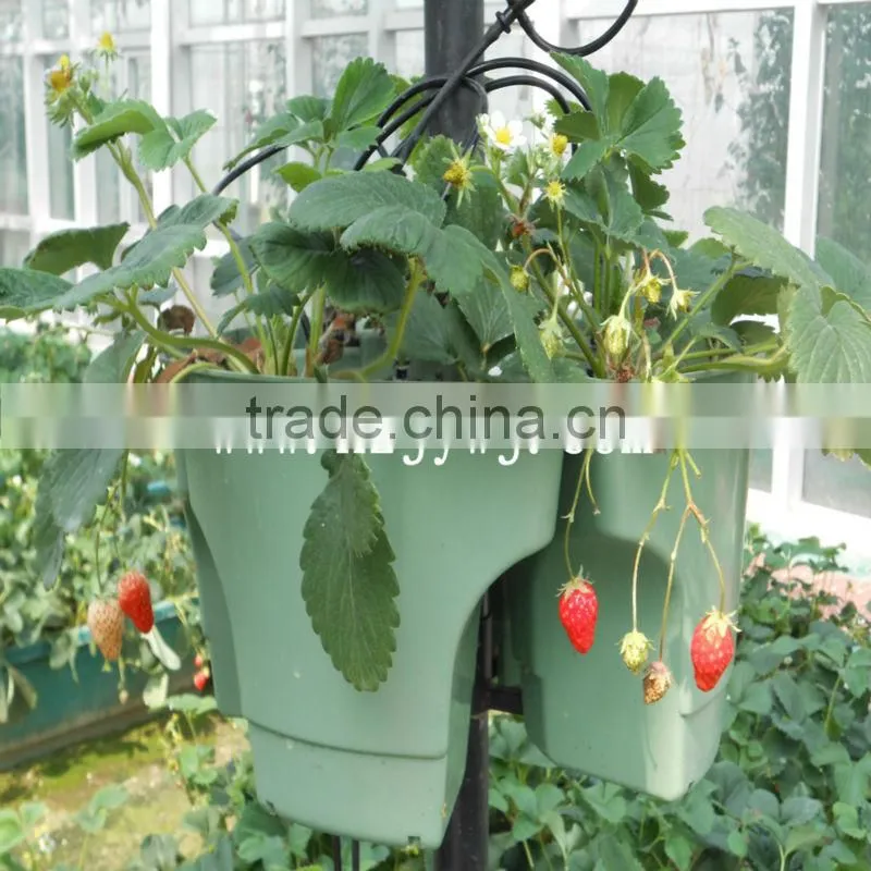 New energy base of agriculture