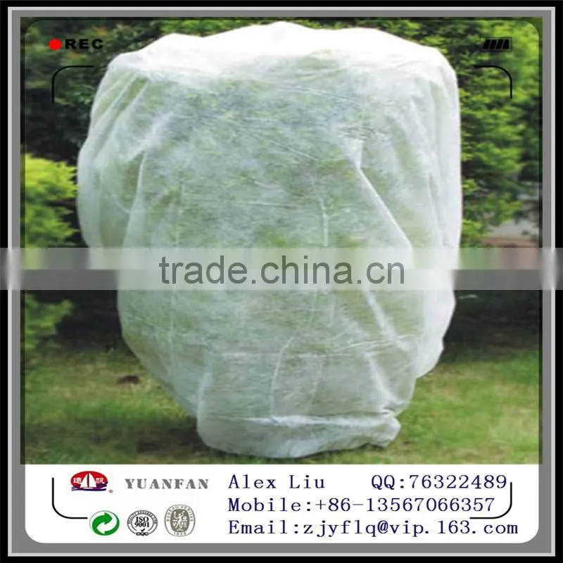 China Agricultural PP Non-woven Fabric