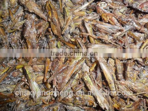 Freeze Dried locusts For Wild Bird & Pet Fish Food