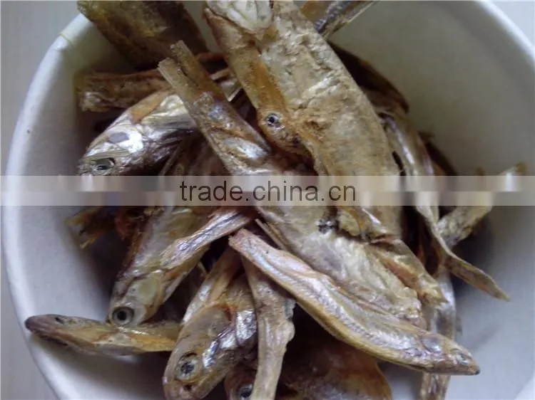 Dry dog food dry fish wholesale dog food
