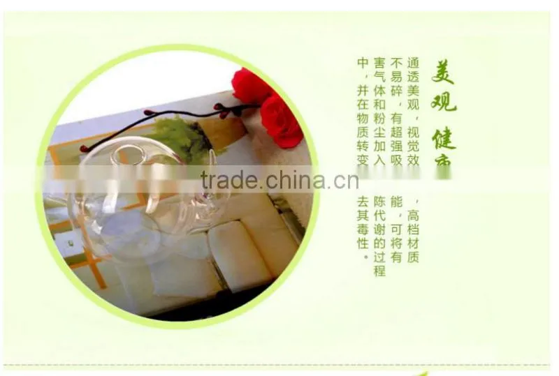 Indoor creative delicate home decoration hydroponics container snail shaped glass flower vase