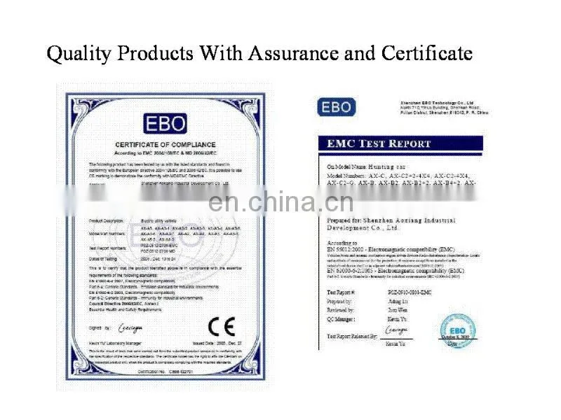 Top Designer 6 Seater Specialty Car, 3KW 48V Electric Specialty Car Hot Sale!! | CE Certified | AX-B4+2