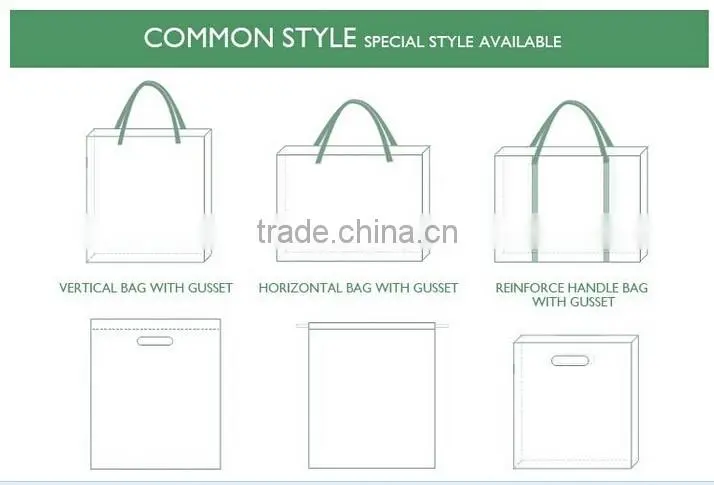 Promotion Cutom Color Printing Paper Gift Bag