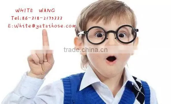 Wire Braided Hydraulic Flexible Hose DIN EN 853 2SN Manufacturers