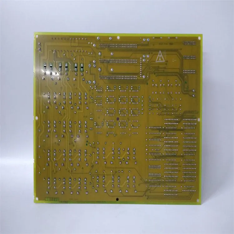 DS200TCTGG1AFF (1)