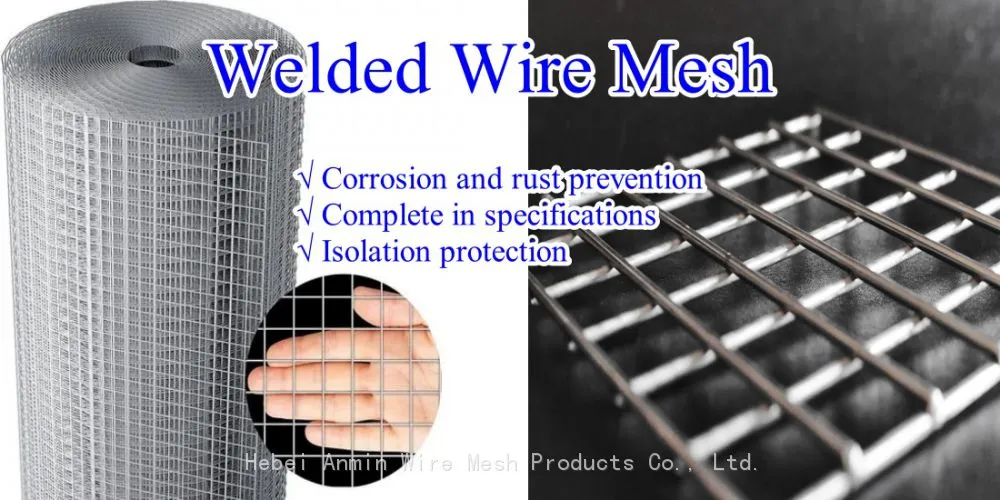 banner.jpg.webp