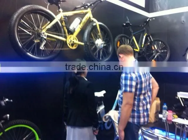 Mountain bike with electric motor