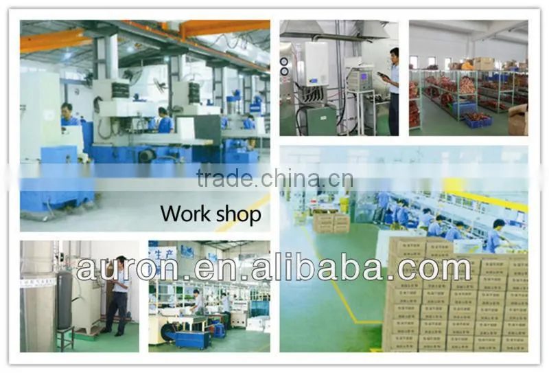 24KW CE Gas fired boiler for Iron market/boiler