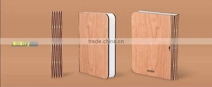 Mini Version LED WOODY Book Lamp