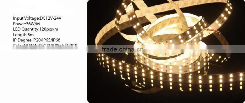 4.8W/M DC12V IP20/IP65/IP68 SMD3528 five color LED strip lighting