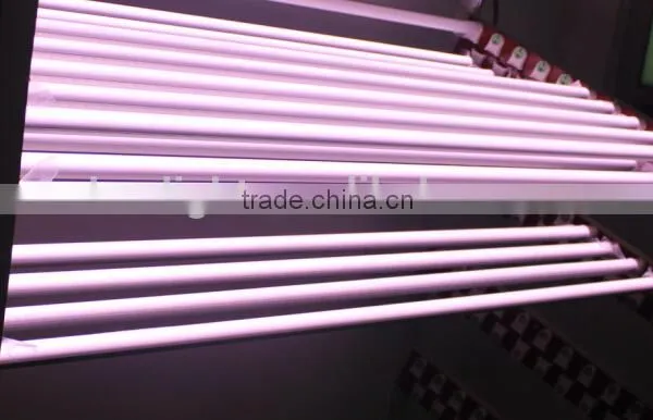 18w 24w xxx aminal video led tube lighting