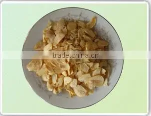 Competitive price for importers of dehydrated onion