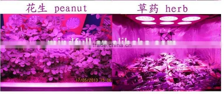 Wholesale Full Spectrum 36W Plant Led Grow Lamp