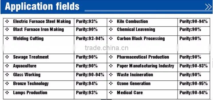Professional Supplier for Oxygen Generator