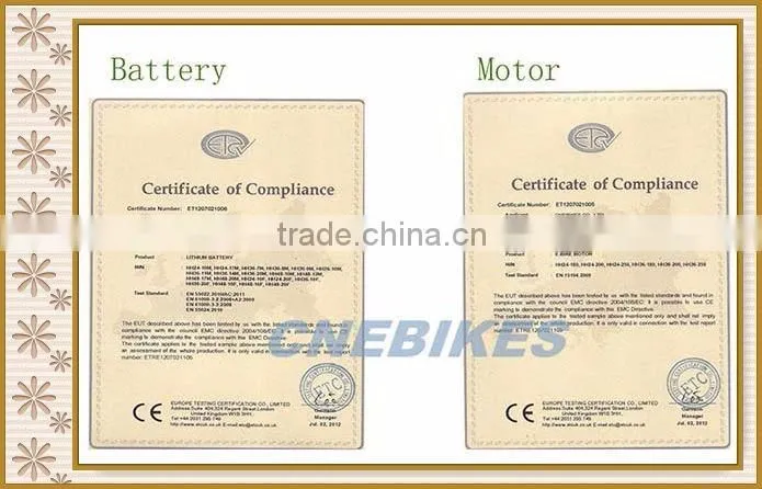 48v 30Ah battery electric bike kit 3000w big power hub motor kit