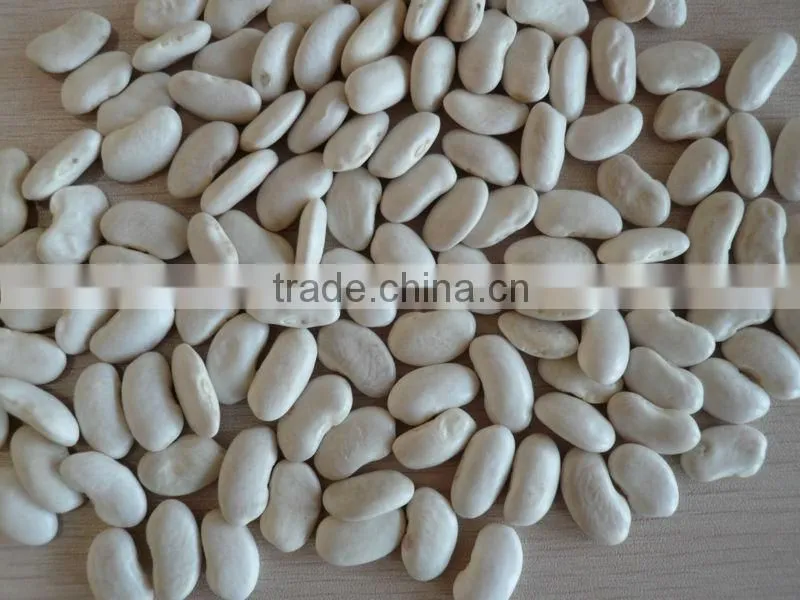 2014 different varieties of white kidney beans from China with cheap price