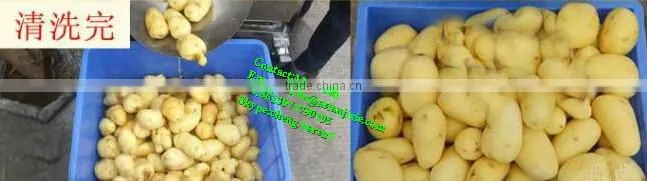 High quality potato washing and peeling machine/industrial potato peeling machine/potato peeling machine