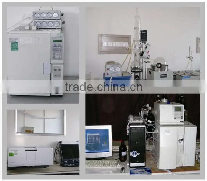 giant knotweed root extract powder/polygonum cuspidatum root extract powder/polygonum cuspidatum root powder