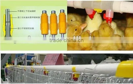 chicken nipple drinkers