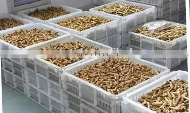 China supplier water hose quick connector brass swivel hose connector manufacturer