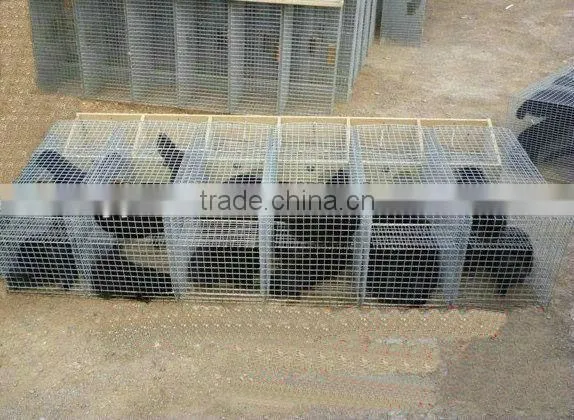 Mink Farming