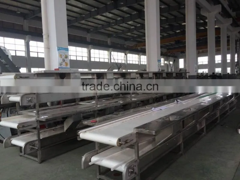 Cabbage Processing Production Line Machine Equipment Broccoli Pretreatment Production Line