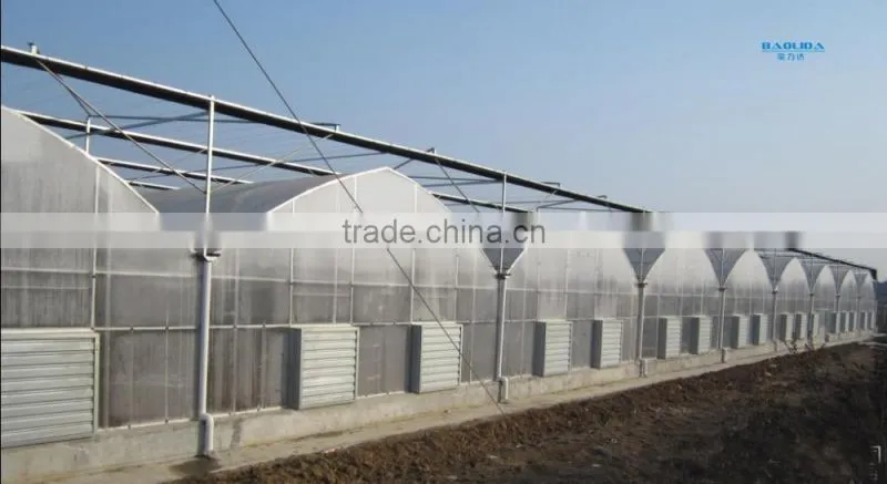 Poly Tunnel Greenhouse With Side Ventilation