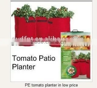 PE tomato planter in low price