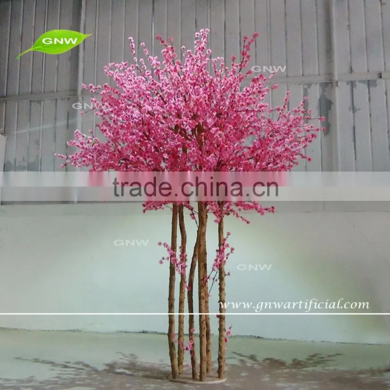 GNW BTR161031-002 8ft Maple tree landscaping Autumn maple tree