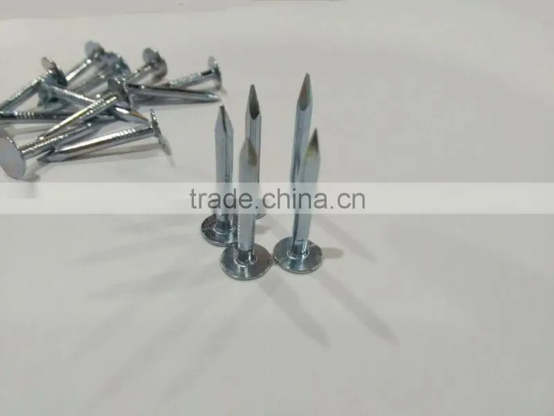 big head clout nails hot selling CHINA