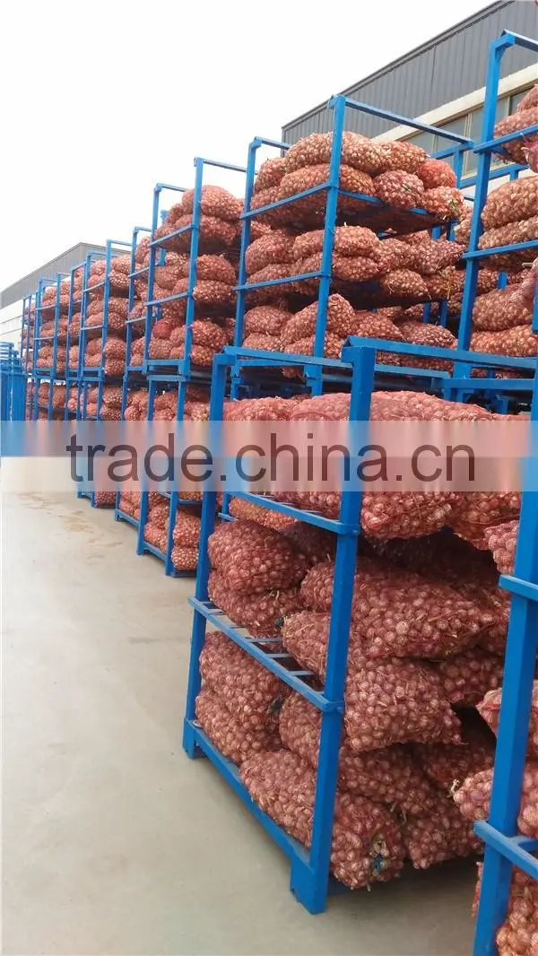 China factory price first grade pure white garlic fresh