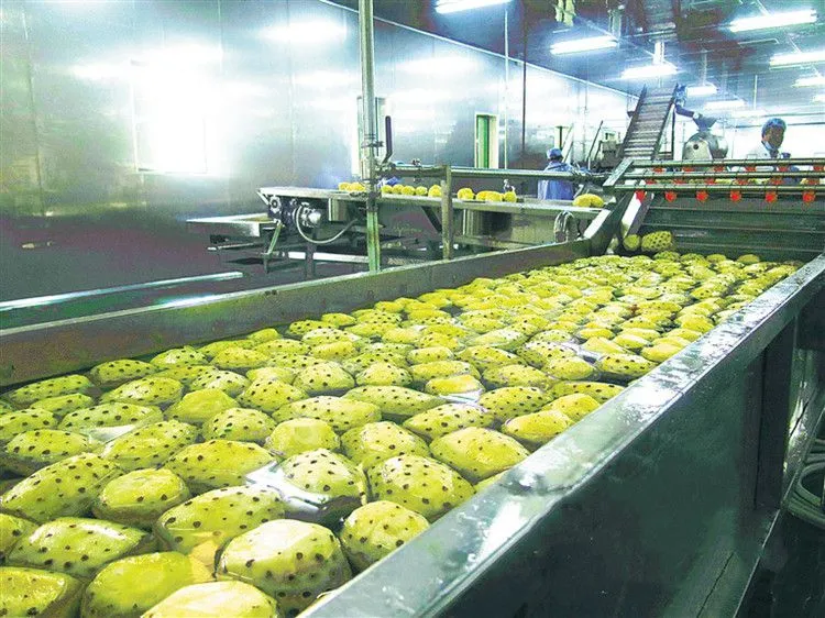 Industrial Complete Fruit Juice Making Processing Line Juice Extractor Machine Vegetable and Fruit Juicer Orange