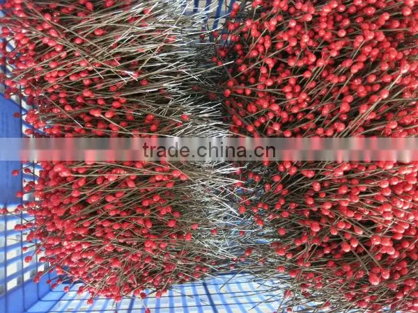Decoration Christmas Artifical Fruits