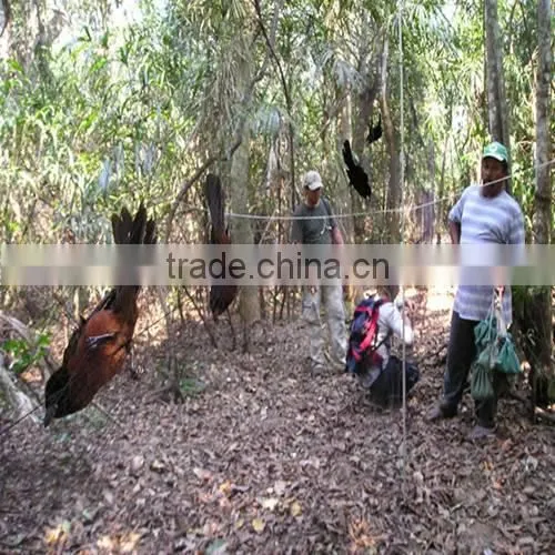 nylon anti bird netting / agricultural bird net