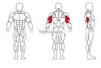 SK-604 Commercial gym equipment triceps press body fit exercise equipment