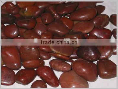 Modern landscaping polished pebble stone