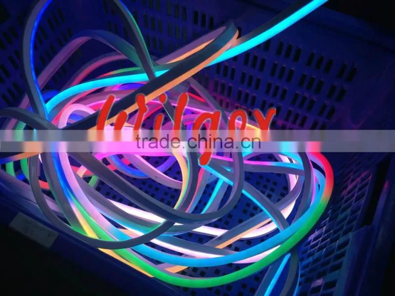 Digital moving LED Neon light