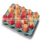 Manufacturer Eggs Packaging Carton Machine
