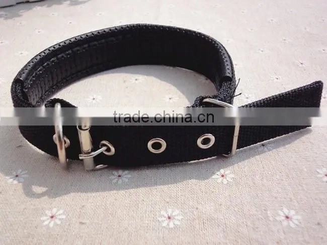 dog shock collar factory