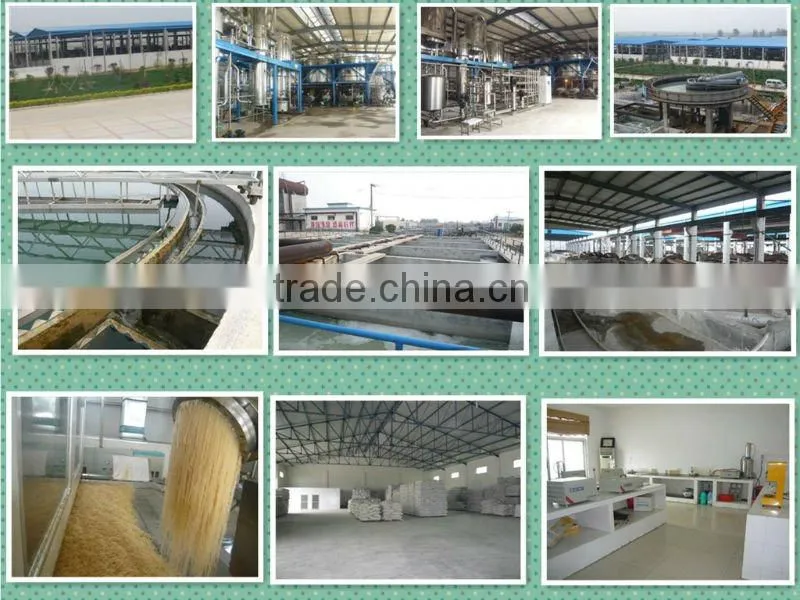 food grade bovine gelatin in china