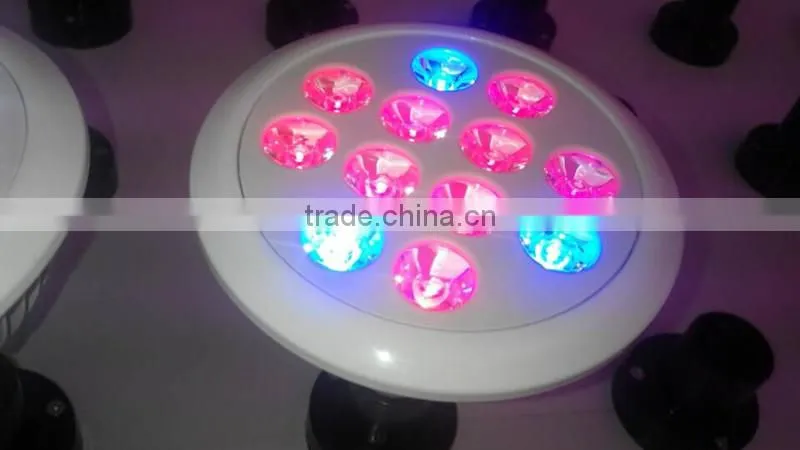 2016 best selling grow light leds12W PAR LED grow light full spectrum COB LED2016 best selling grow light leds12W PAR LED grow l