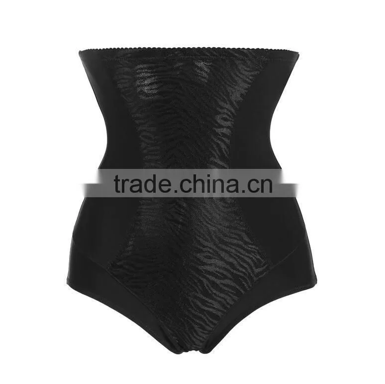 Women's Shapewear High Waist Brief Firm Control Panty