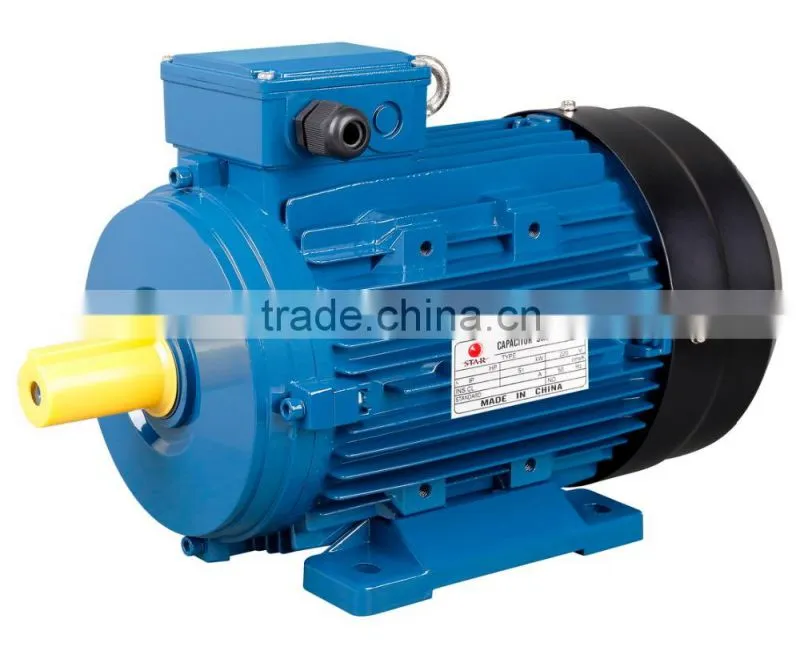 OEM Cast Iron/Aluminum Housing Three Phase/Single Phase Electric Motor