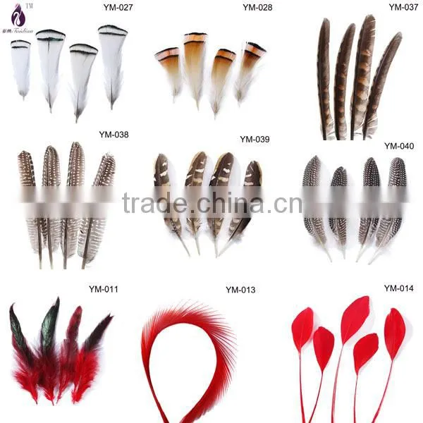 Natural color pheasant chicken feather for hat and party decoration,cheap feathers